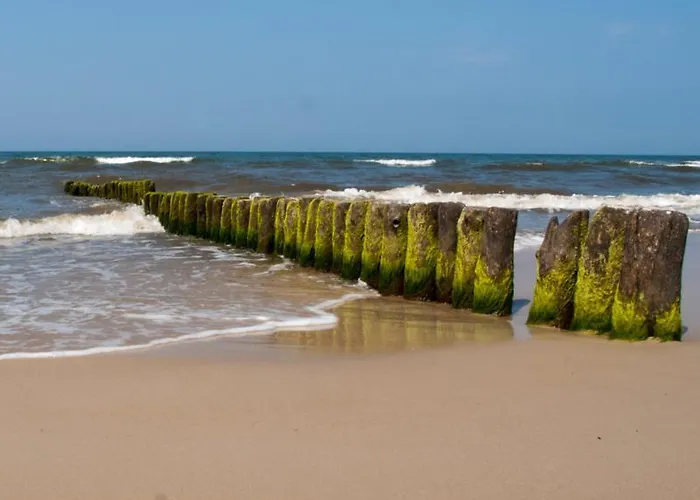 Деревянный коттедж Rybaka *